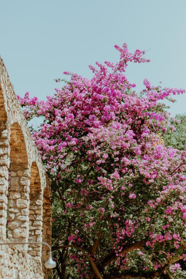 Mas Noguer Villa Girona Luaran gambar